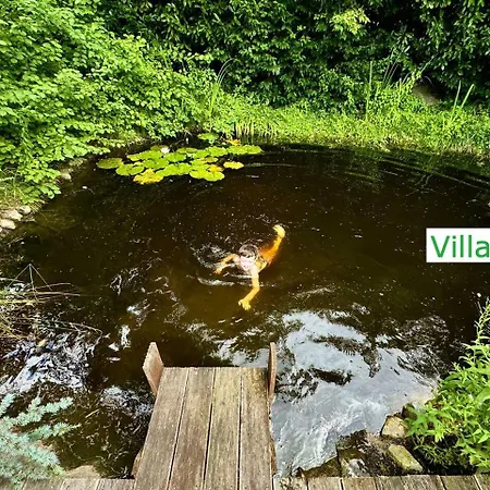 Luxus Design Emg Nah Frankfurt, Heidelberg Mit Sauna, Schwimmteich, Garten Fuer Familien Und Gruppen Bis 17 Personen Bensheim