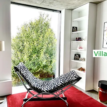 Luxury Emg Frankfurt Heidelberg - Villa *