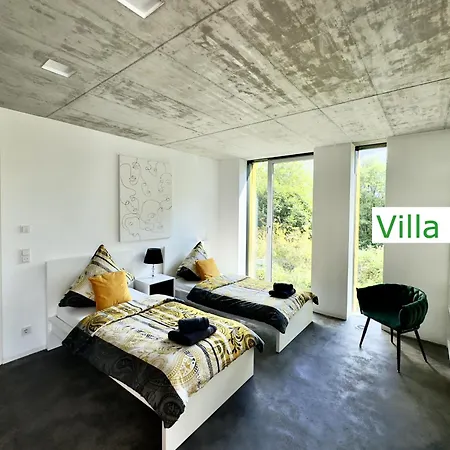 Villa Luxus Design Emg Nah Frankfurt, Heidelberg Mit Sauna, Schwimmteich, Garten Fuer Familien Und Gruppen Bis 17 Personen Bensheim