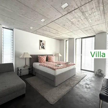 Luxus Design Emg Nah Frankfurt, Heidelberg Mit Sauna, Schwimmteich, Garten Fuer Familien Und Gruppen Bis 17 Personen Villa Bensheim