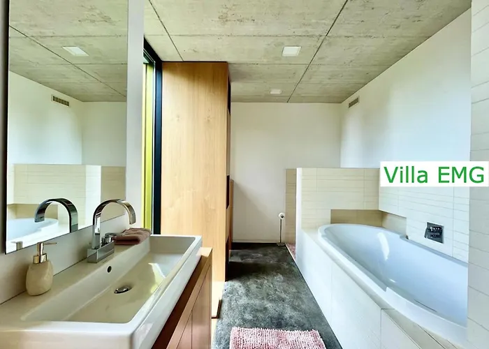 Villa Luxus Design Emg Nah Frankfurt, Heidelberg Mit Sauna, Schwimmteich, Garten Fuer Familien Und Gruppen Bis 17 Personen Bensheim